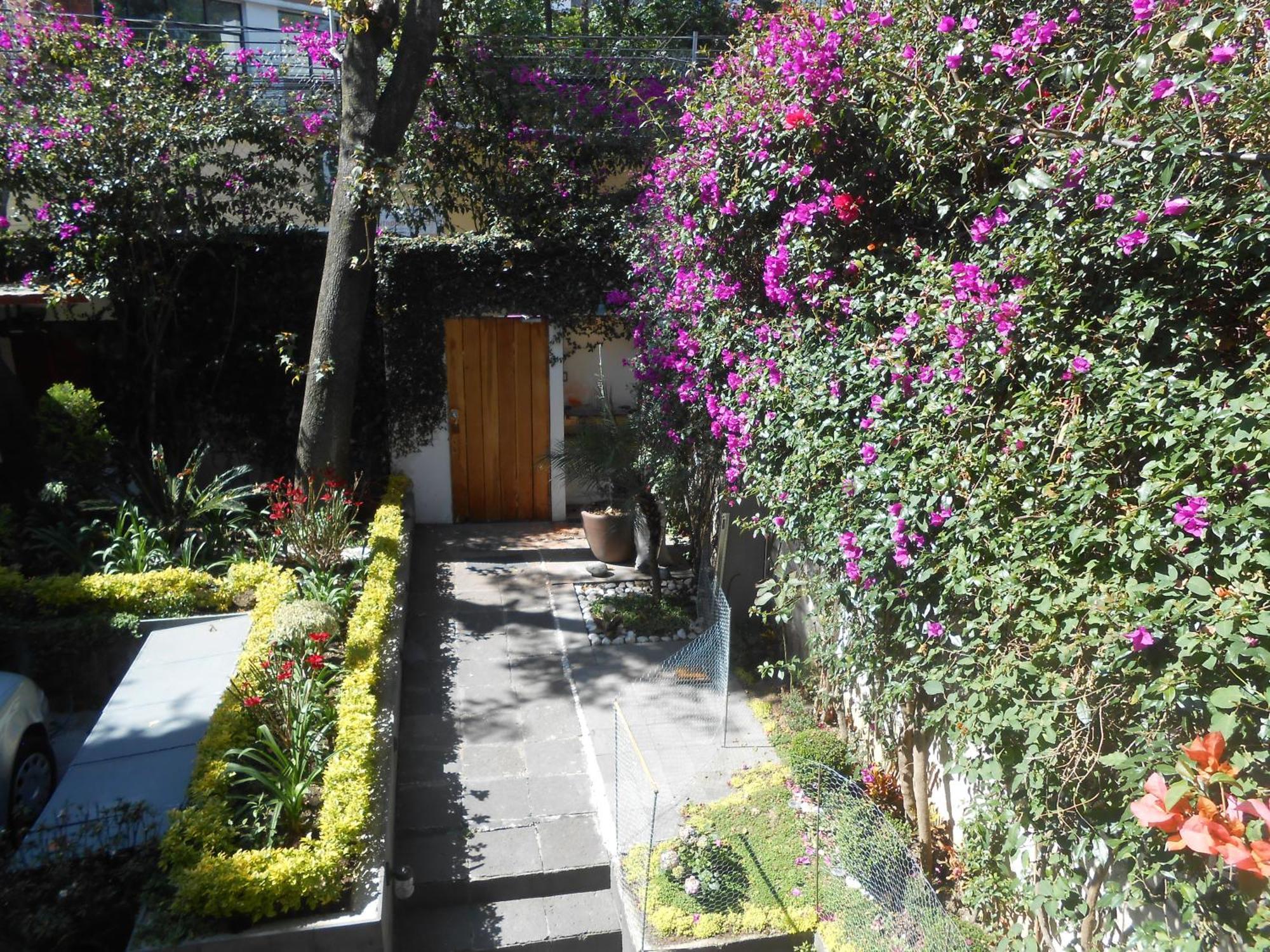 Terraza & Loft San Angel Cidade do México Exterior foto