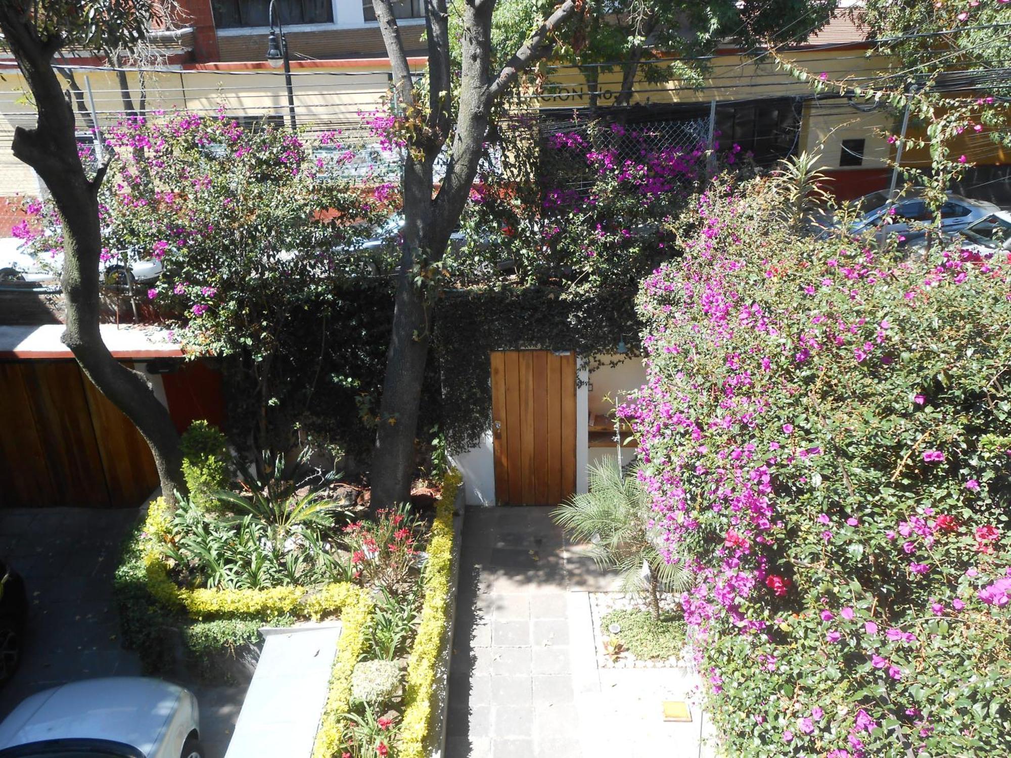 Terraza & Loft San Angel Cidade do México Exterior foto