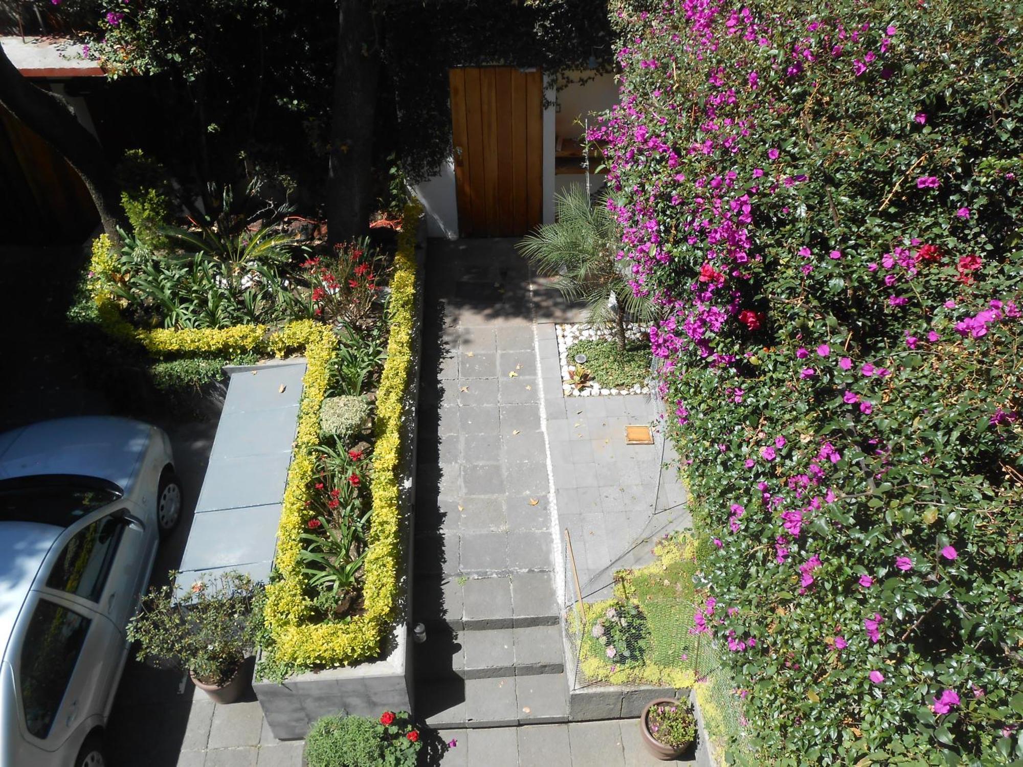 Terraza & Loft San Angel Cidade do México Exterior foto