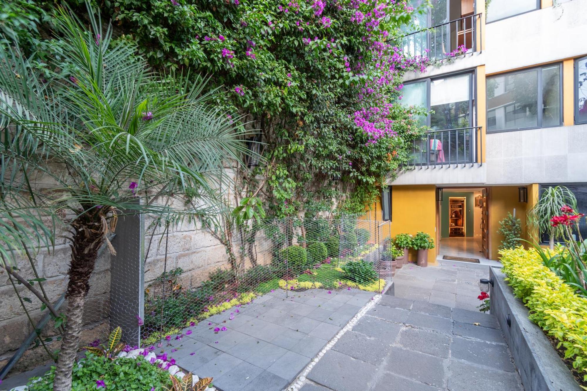 Terraza & Loft San Angel Cidade do México Exterior foto