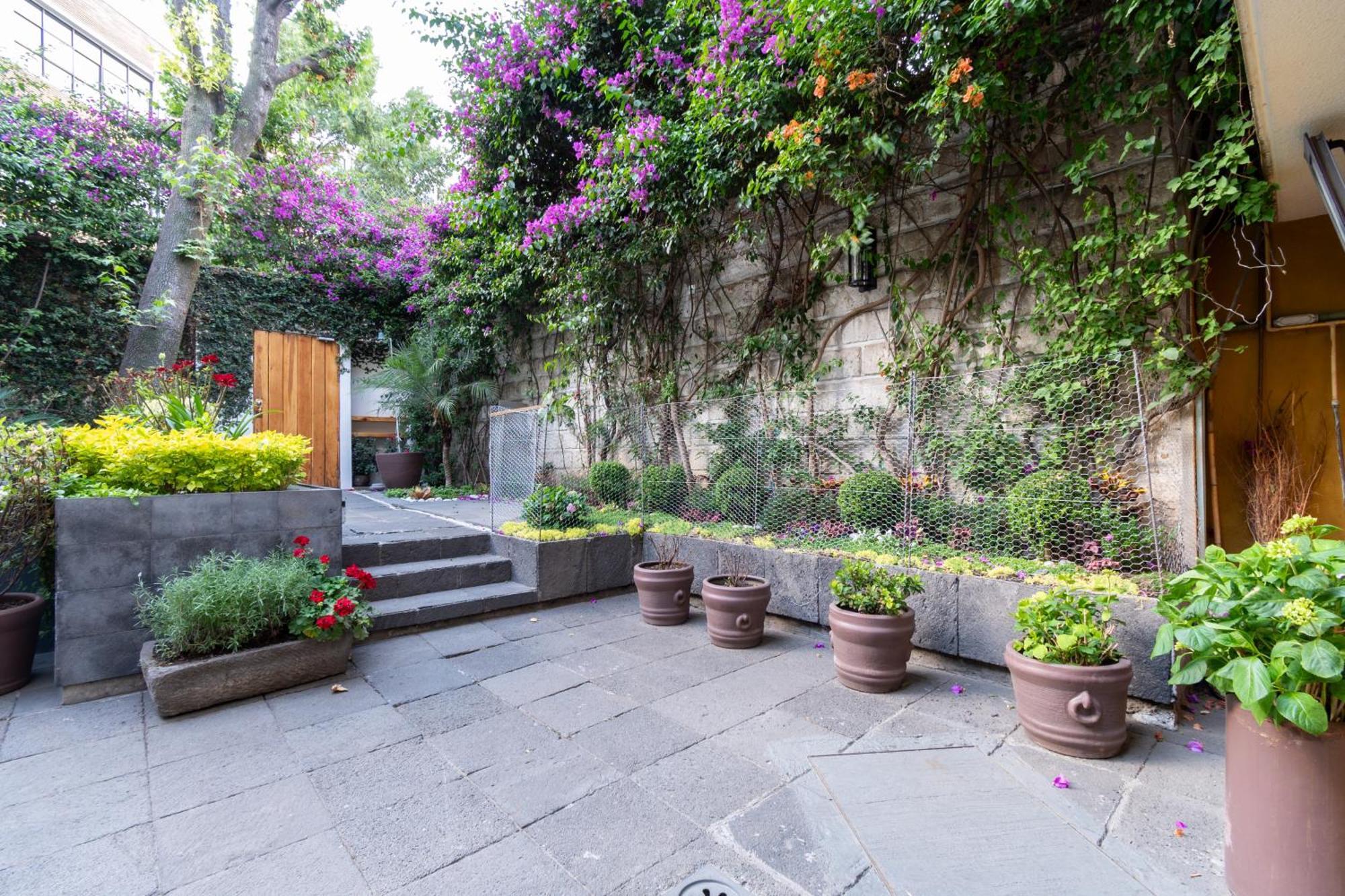 Terraza & Loft San Angel Cidade do México Exterior foto